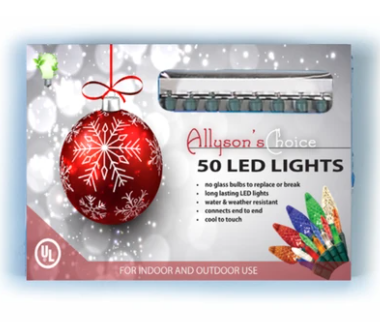 BOXED 50 LED MINI MULTI COLORED LIGHTS